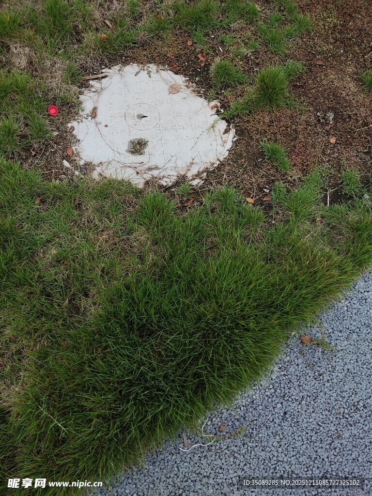 草地上的白色井盖