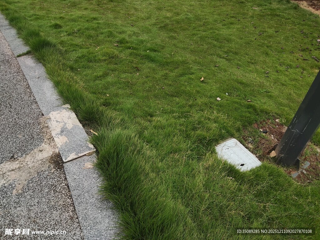 路边翠绿草坪与灯景