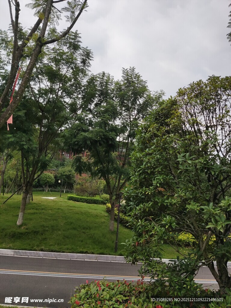 绿意盎然的户外园林景观