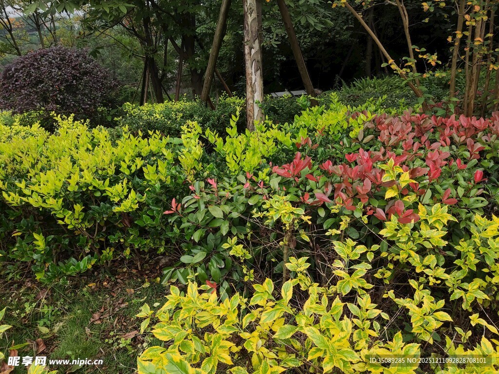 多彩花草装点的园林景观