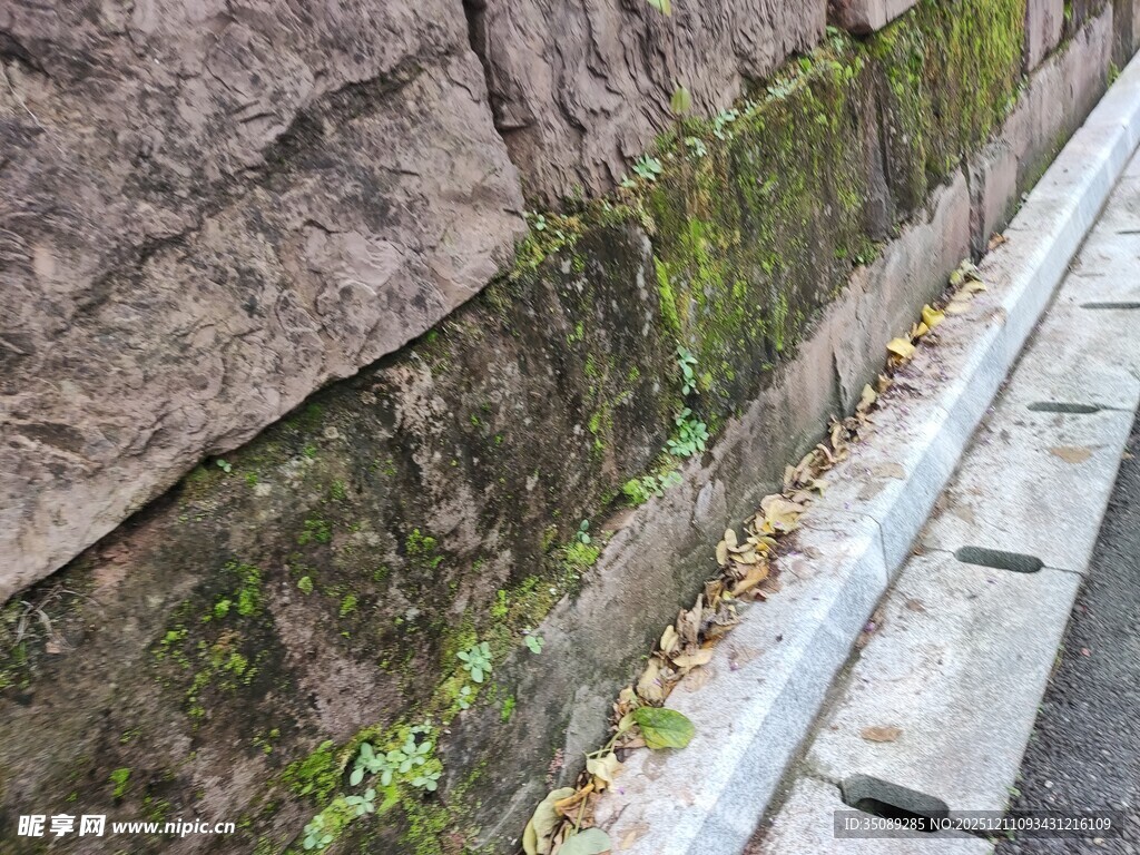 石墙边的绿植与排水沟