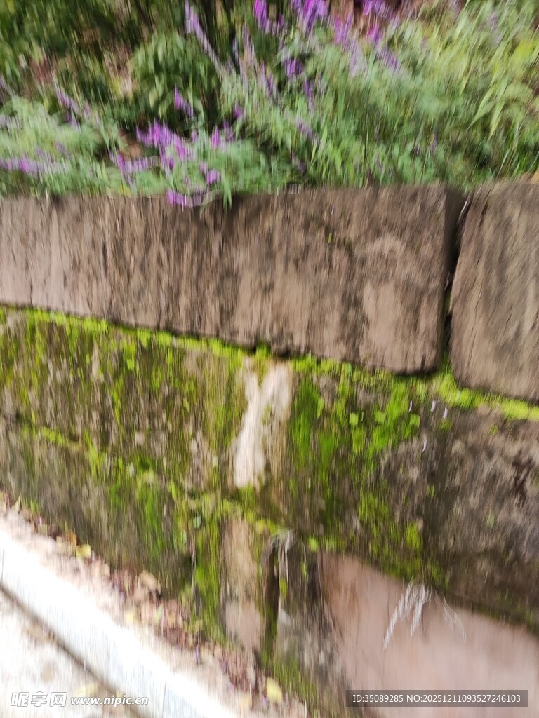 长满青苔的古朴石墙