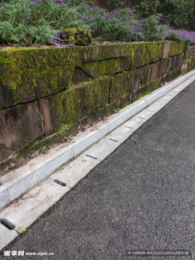 路边长满青苔的石墙