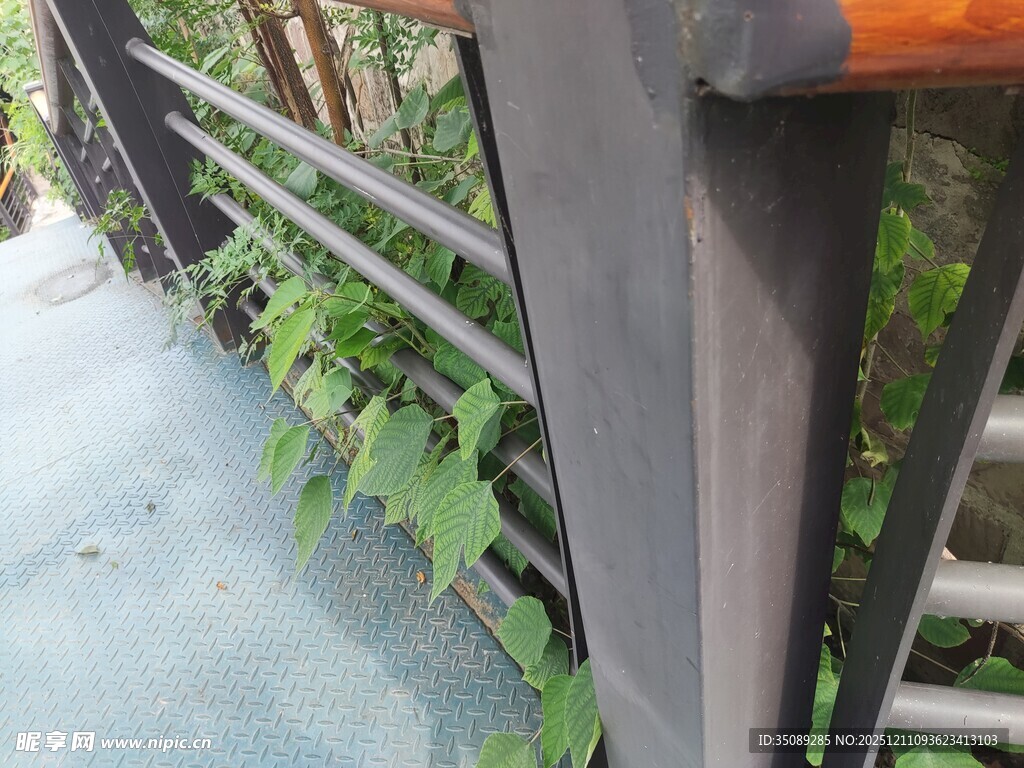 户外金属栏杆与绿植景观