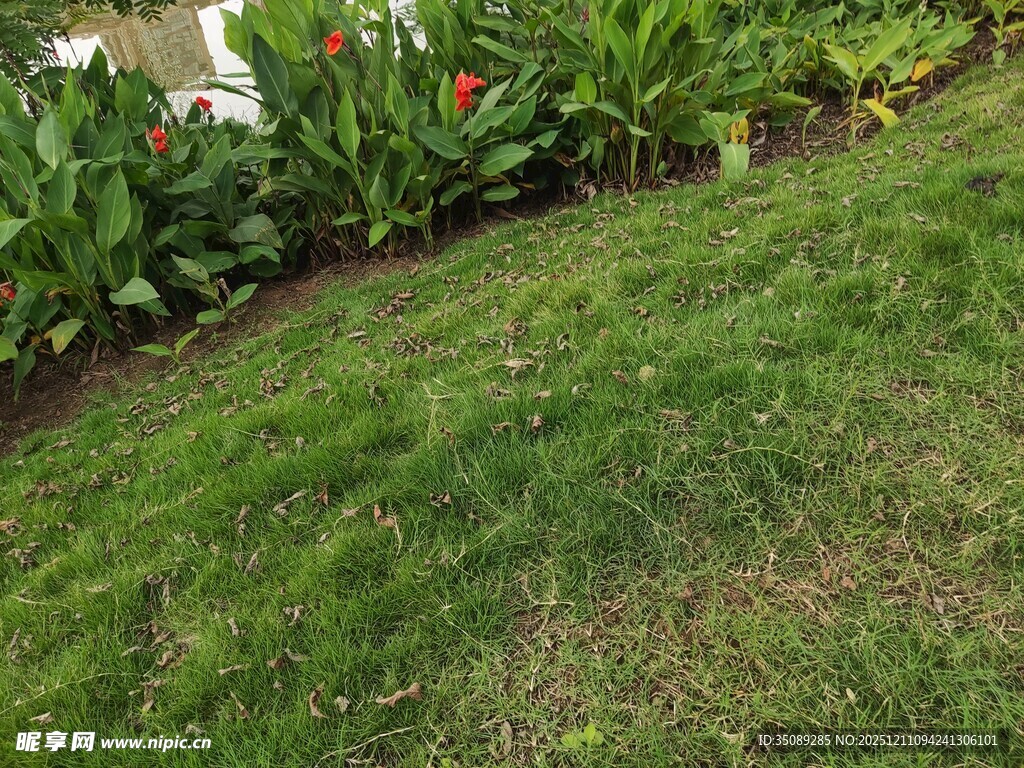 翠绿草坪与多彩花卉景观