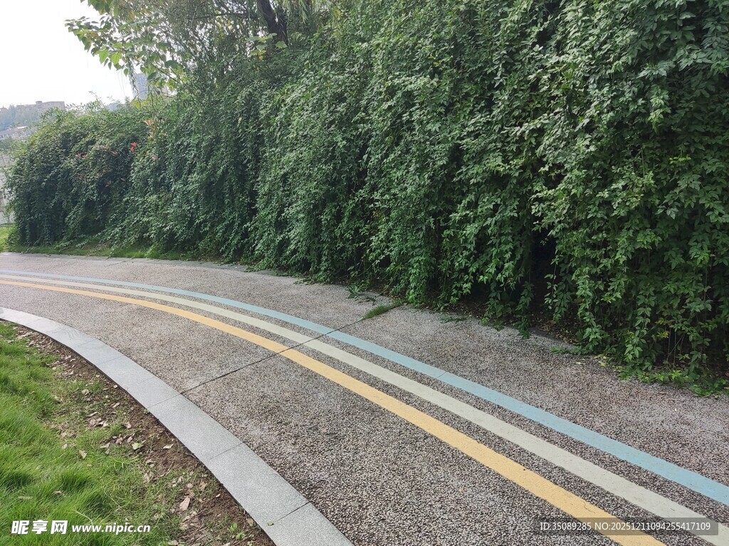 蜿蜒多彩的林间骑行道