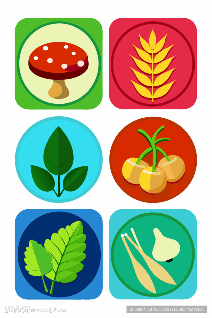 多彩有机食材图标集合