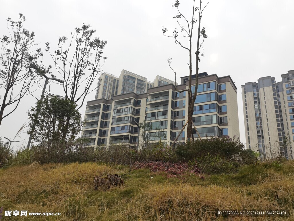 城郊草地旁的高层住宅区