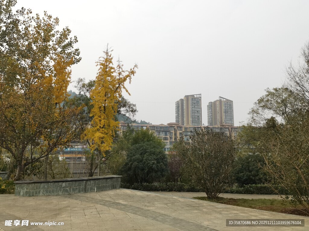 秋日城市公园景致