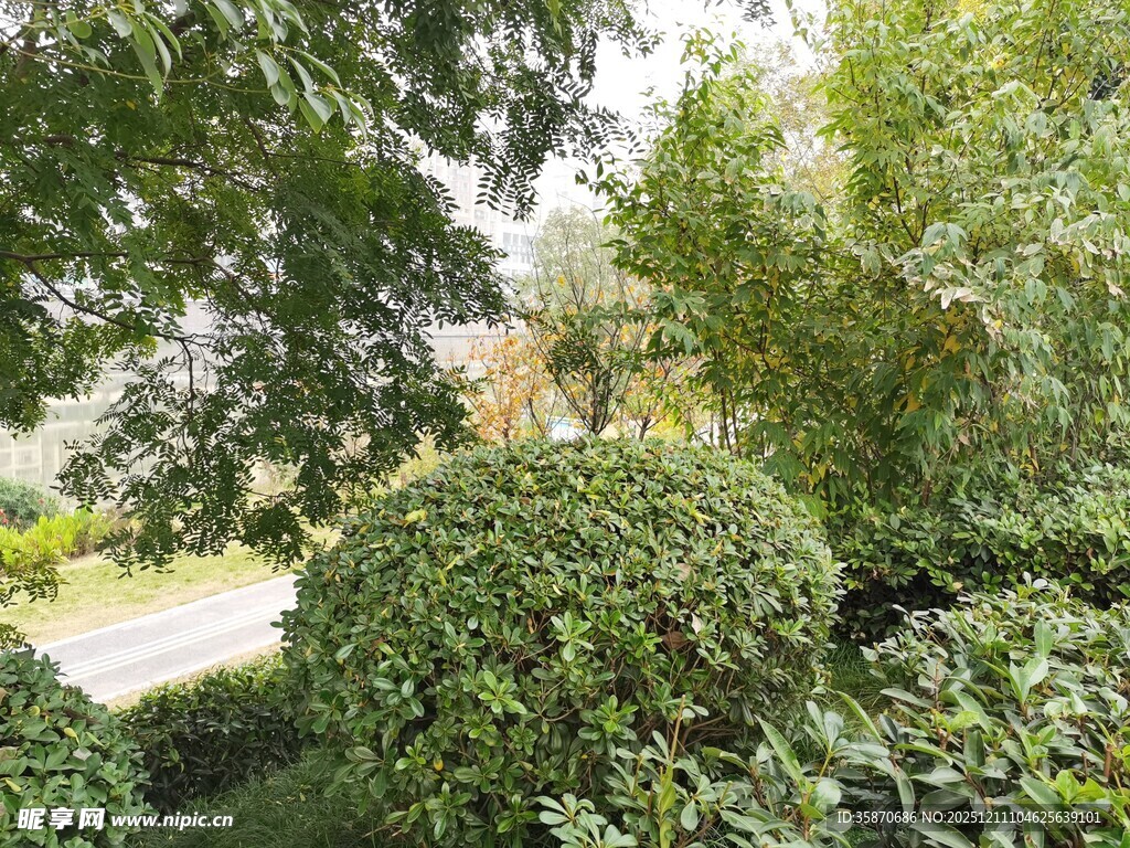 绿意盎然的园林景观