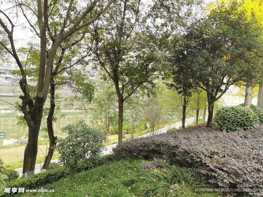 城市中的静谧绿植景观