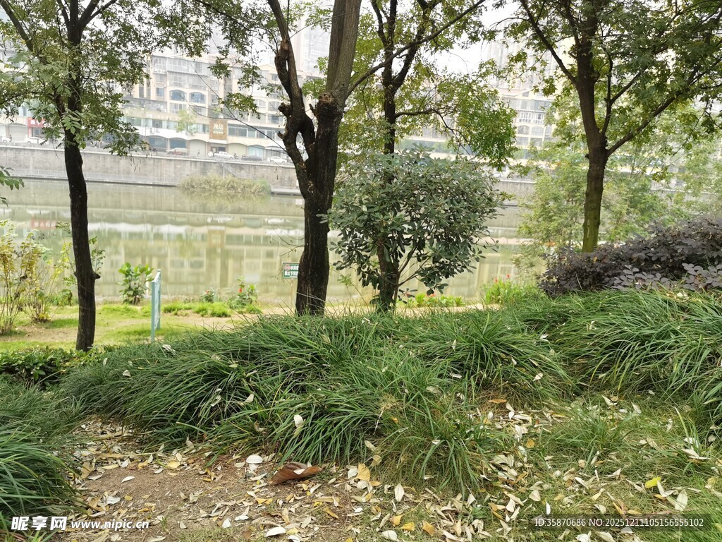 户外树林草地自然景致