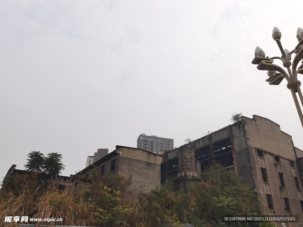 废弃建筑隐于草木之间