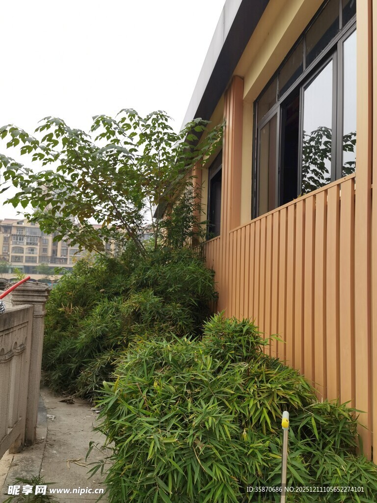 木质小屋旁的绿植景观