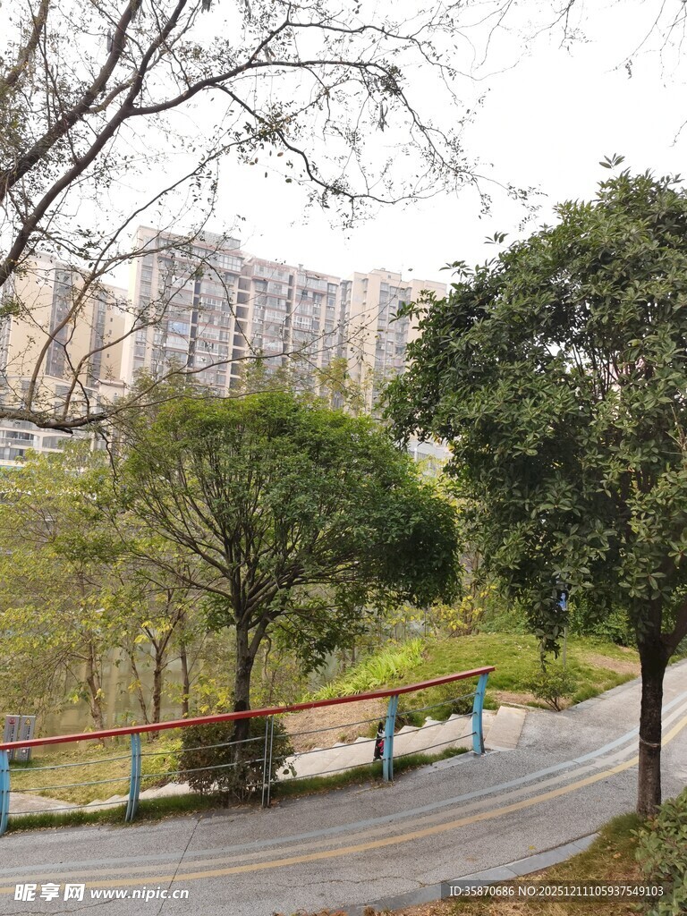 公园休闲小径与绿树长椅