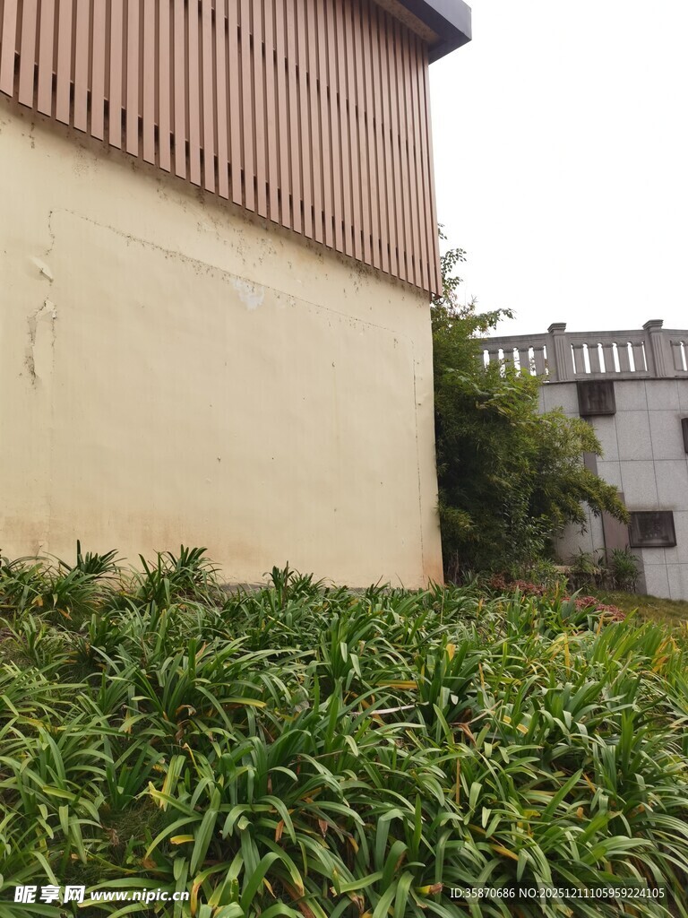 墙边绿植景观