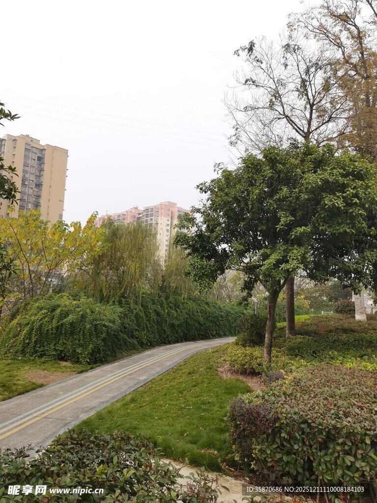 城市中的静谧园林小道