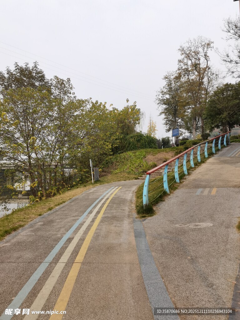 蜿蜒公路旁的护栏与绿树