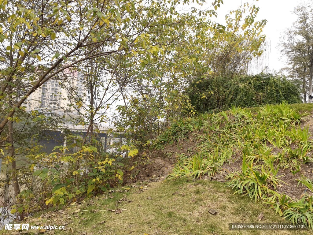 春日郊野绿植景观