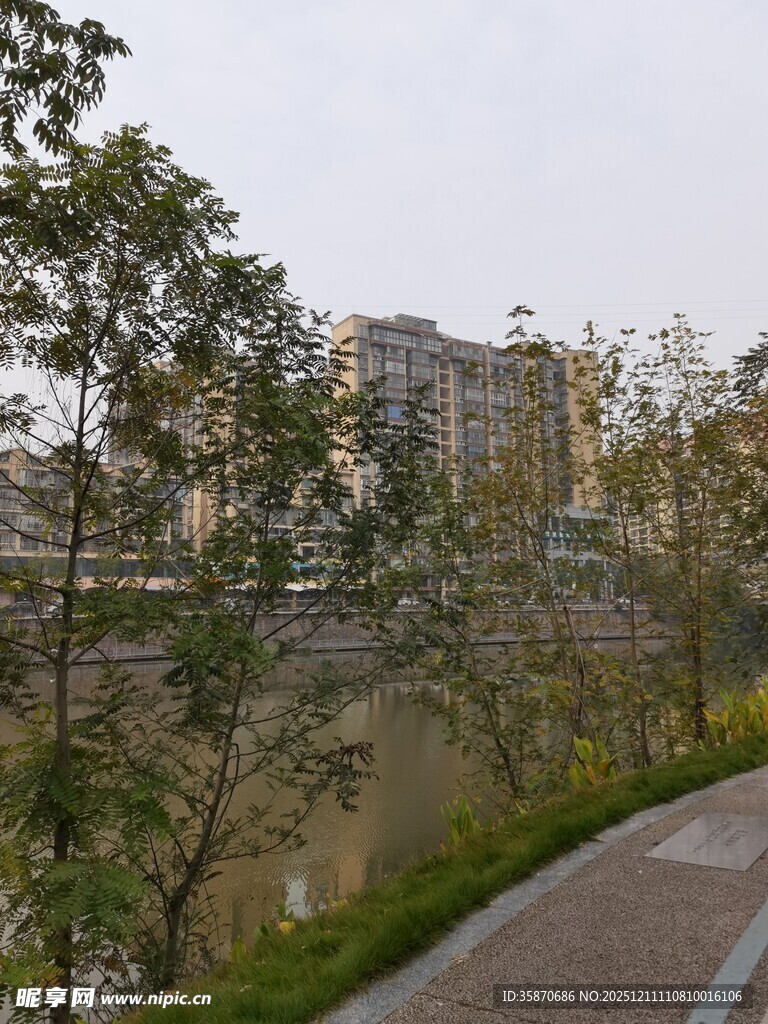 城市河畔的静谧步道景观