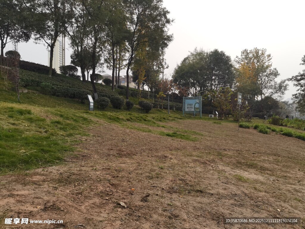 户外开阔草地与树木景观