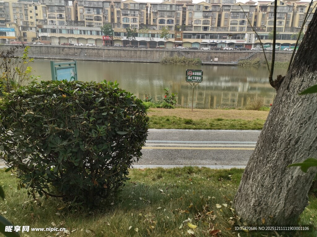 城市路边绿植景观