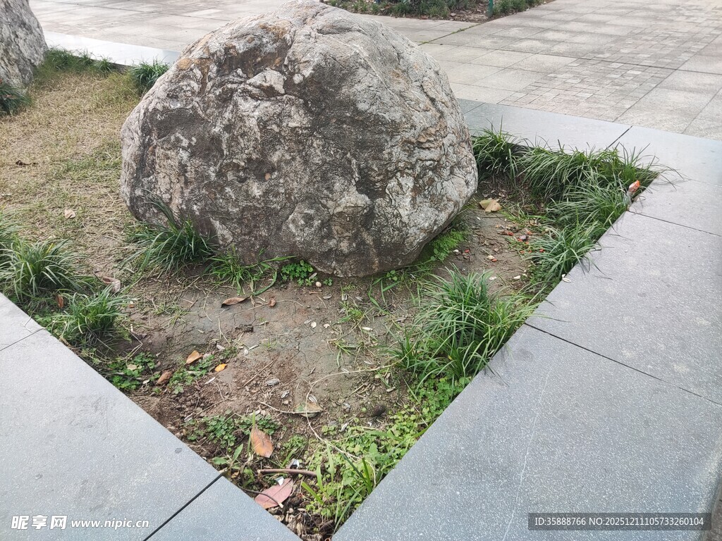 庭院中的孤石与绿植