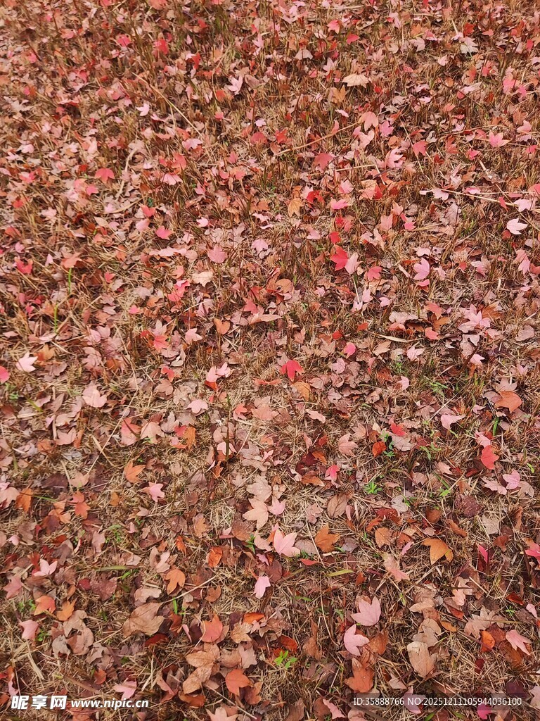 多彩碎石纹理特写