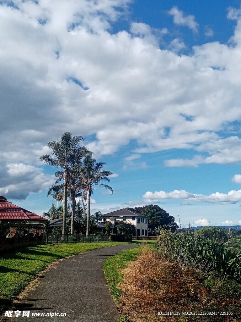 乡村小路旁的蓝天绿树