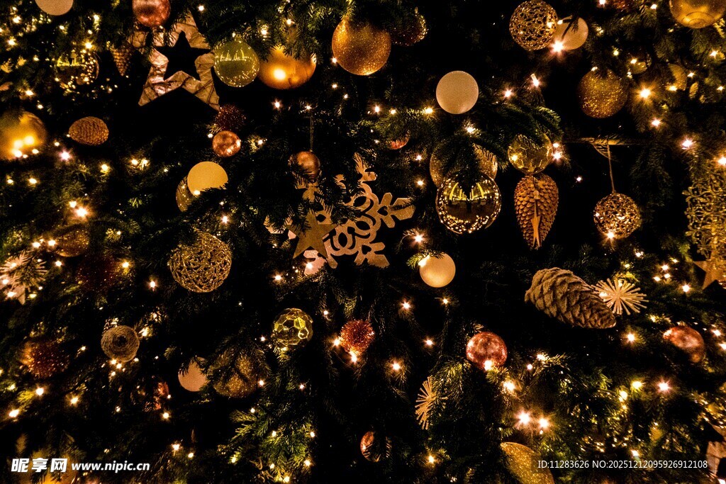 璀璨梦幻的节日装饰灯光