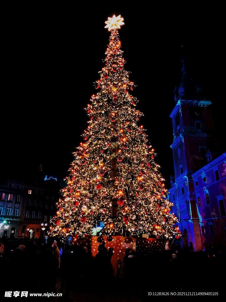 璀璨圣诞树点亮夜的浪漫