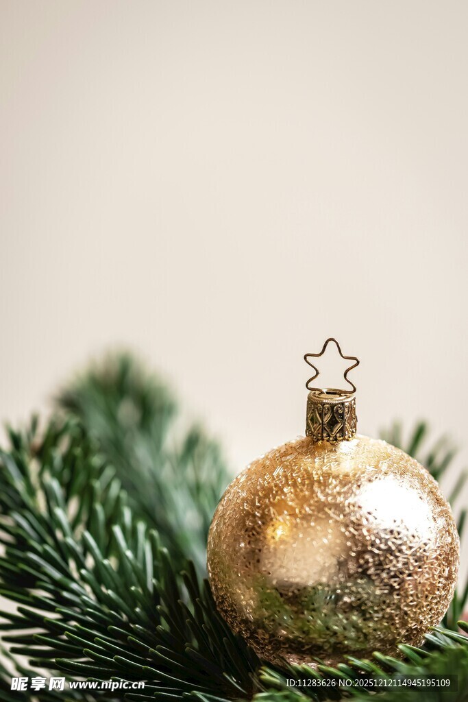 金色圣诞球置于松枝上