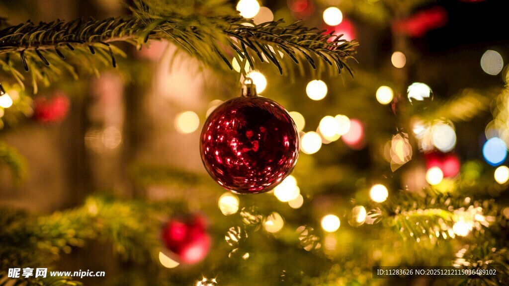 圣诞树上的红色装饰球