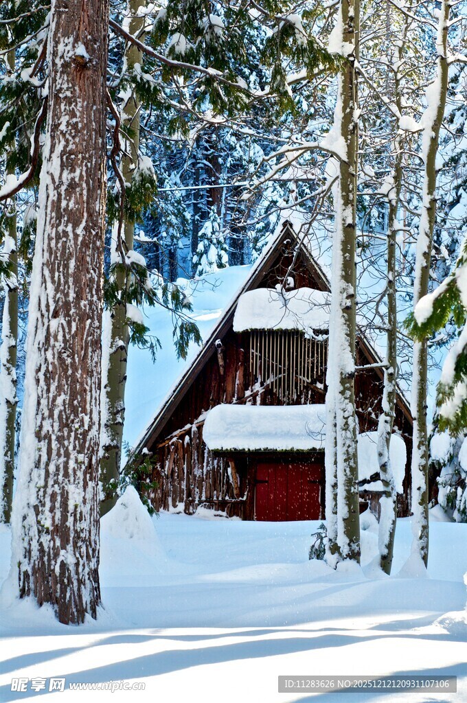 雪林中的红顶木屋