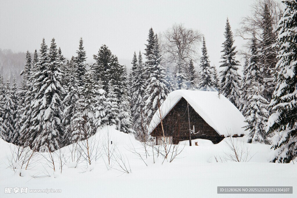 雪覆小屋