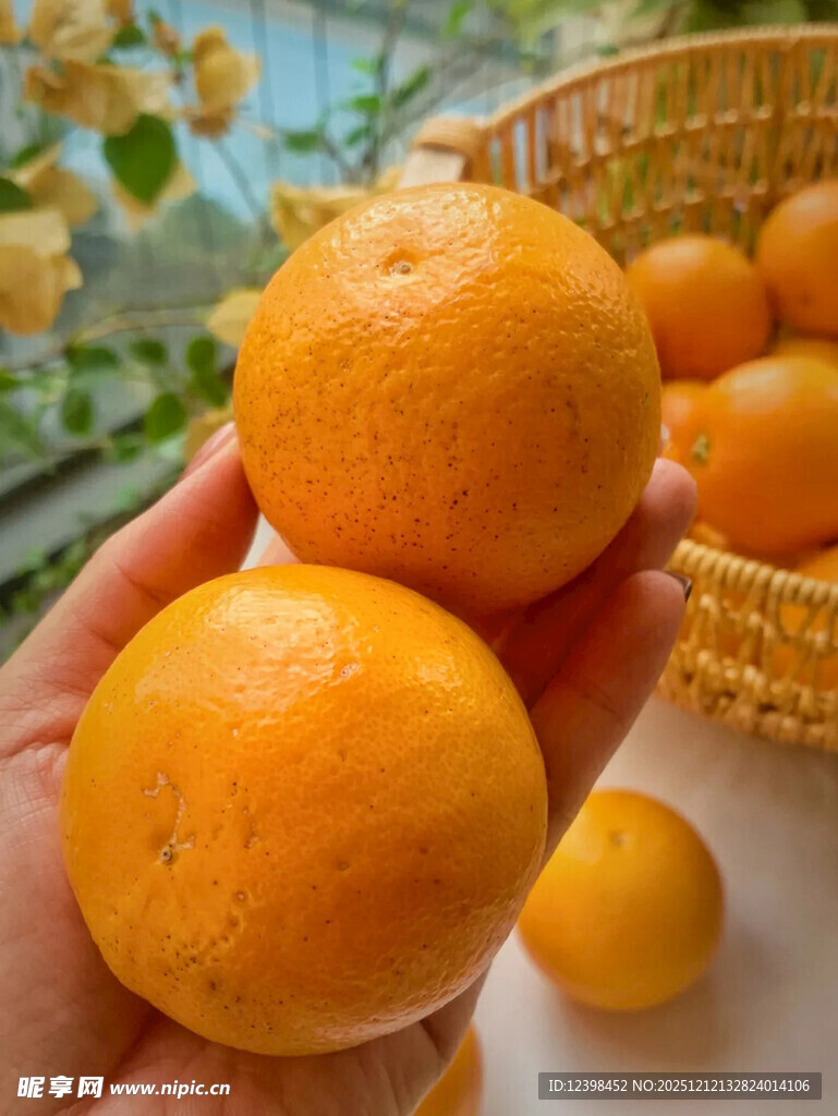 手捧新鲜饱满的黄澄澄橘子
