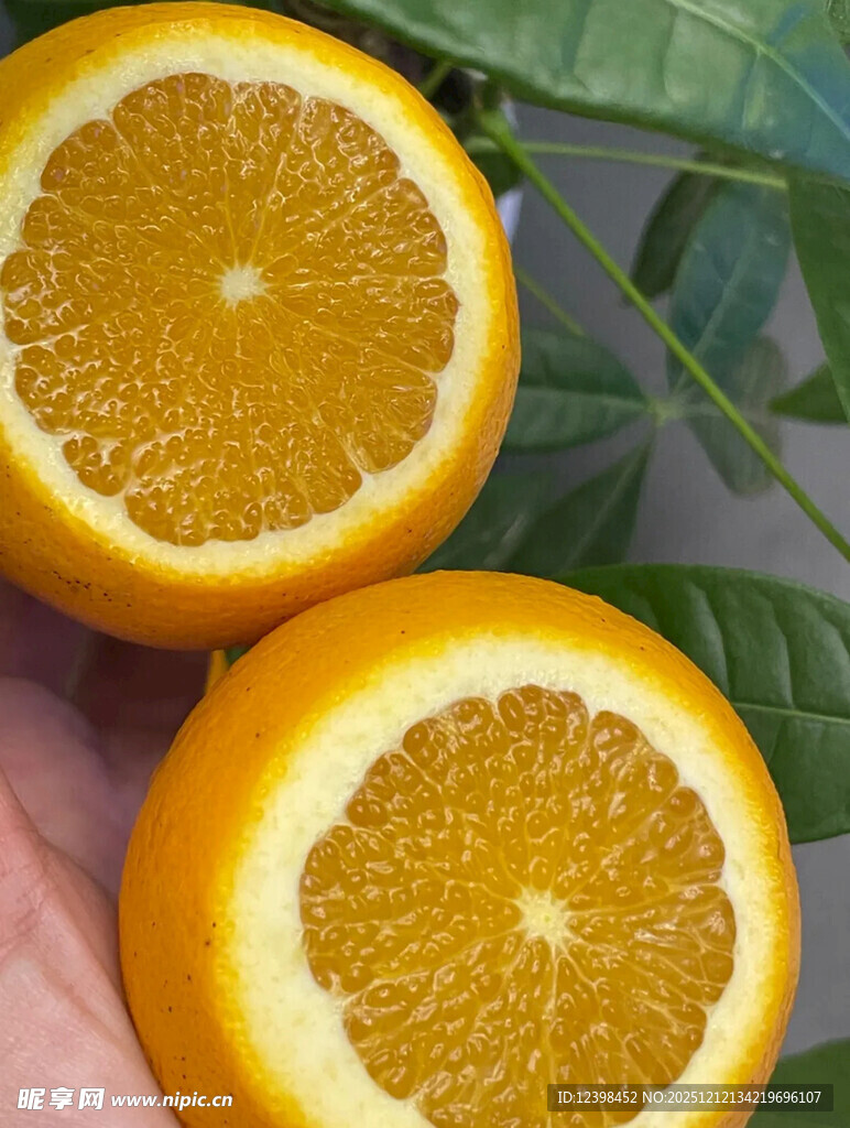 手捧切开的新鲜橙子