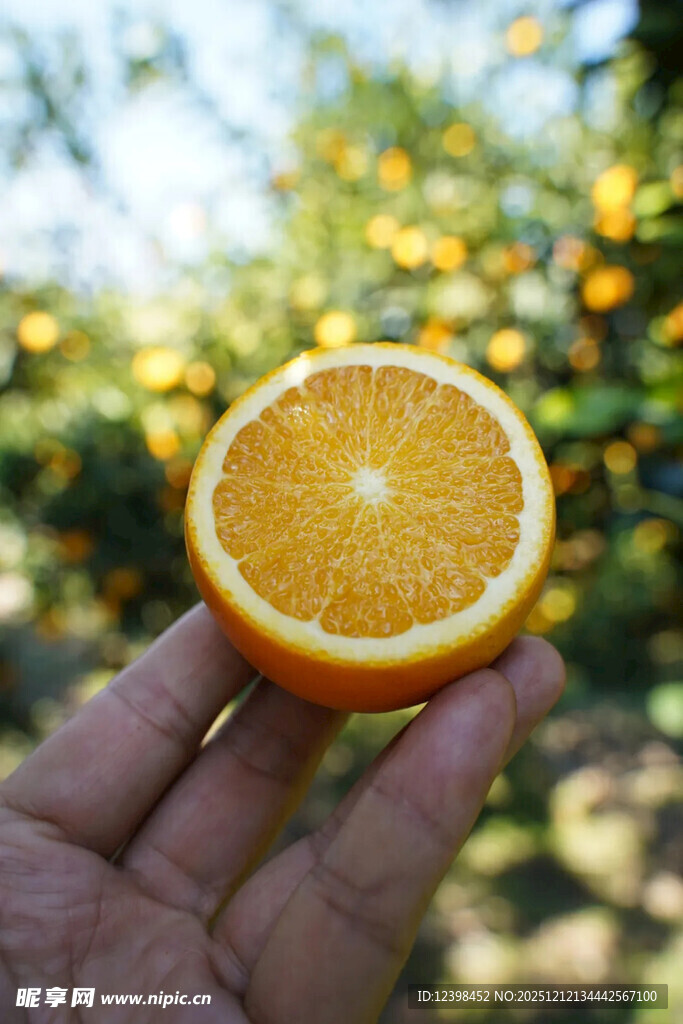 手捧半颗新鲜橙子
