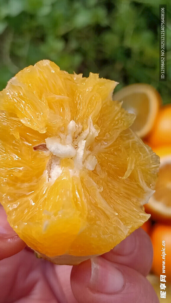 剥开的新鲜橙子果肉