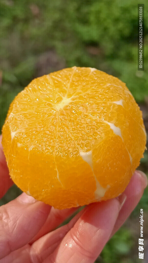 手捧剥好的新鲜橙子