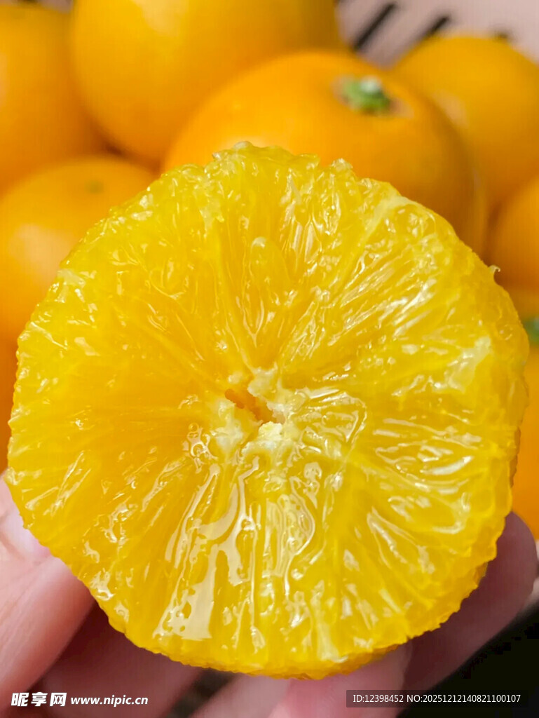 手捧多汁金桔果肉特写