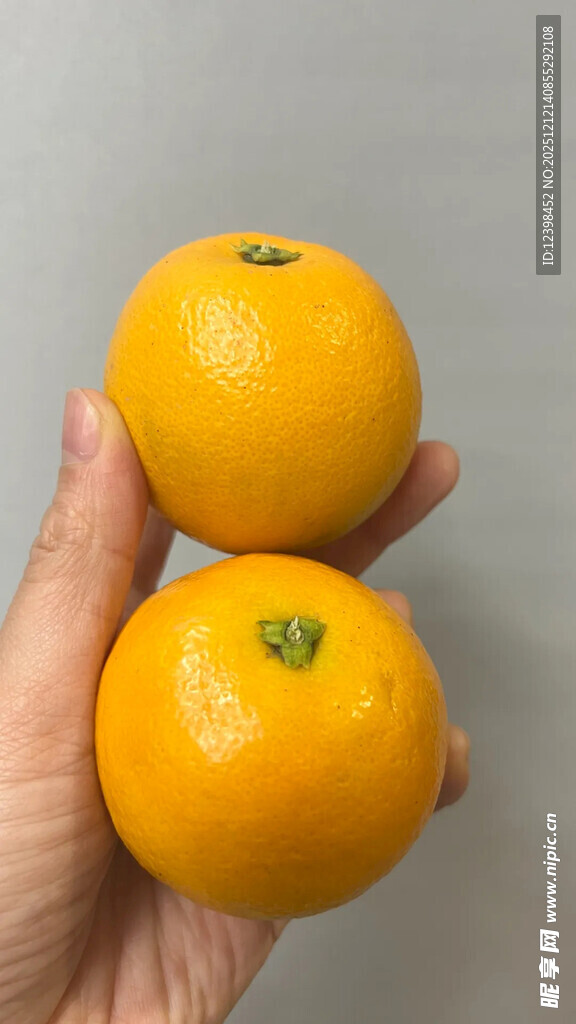 手中两颗鲜黄饱满的橘子