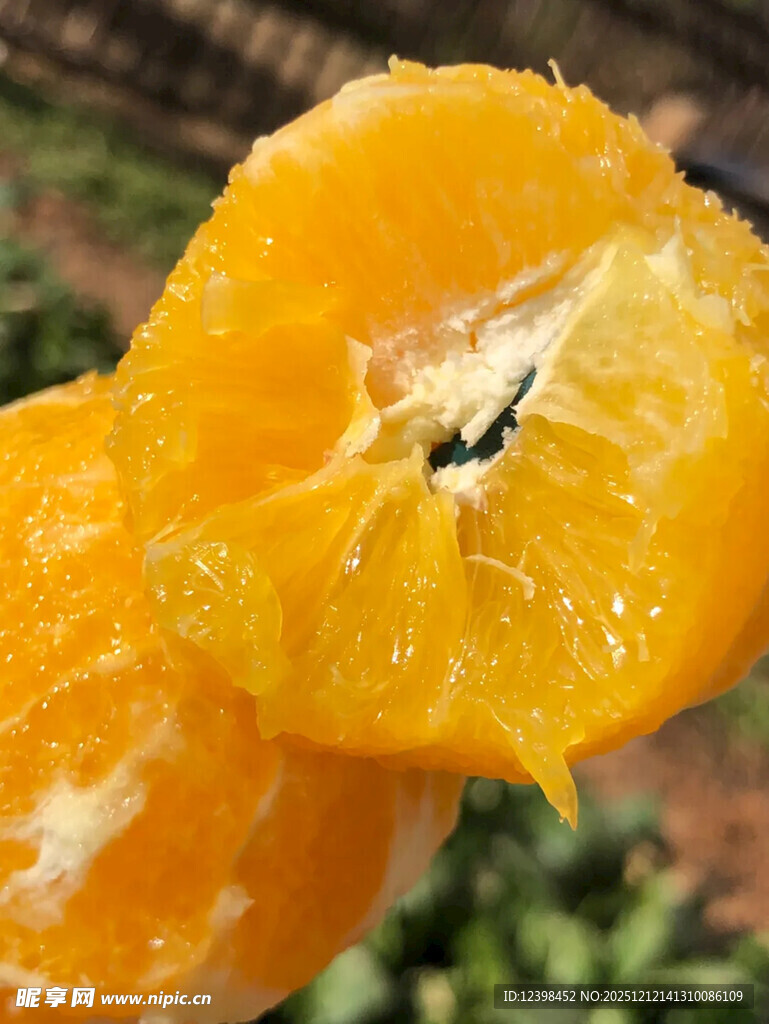 剥开的新鲜多汁橘子