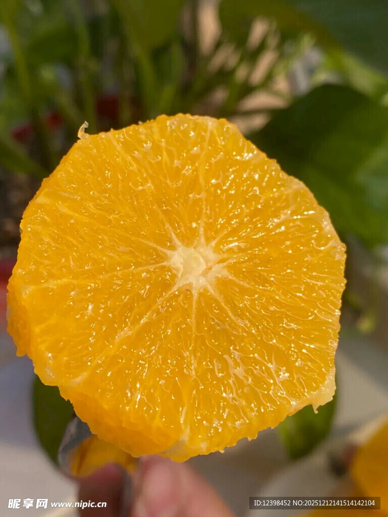 新鲜多汁的橙子切片