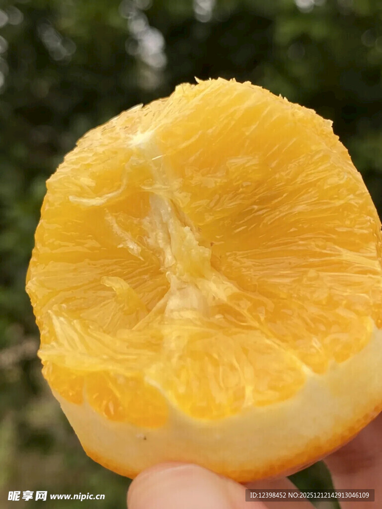 剥开的新鲜黄橙果肉