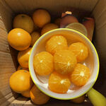 碗中鲜橙与箱中橙果