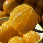 叉子上的鲜嫩多汁剥好橘子