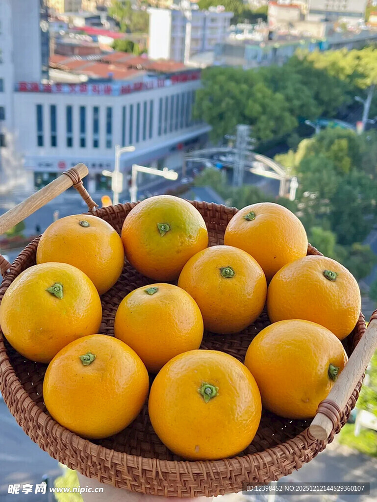 篮子里的新鲜橙子