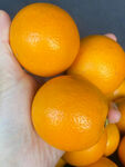 手捧鲜橙