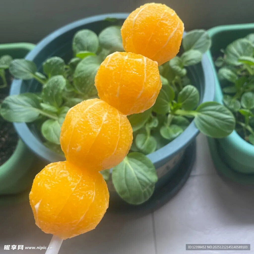 清新绿植旁的橘子水果串